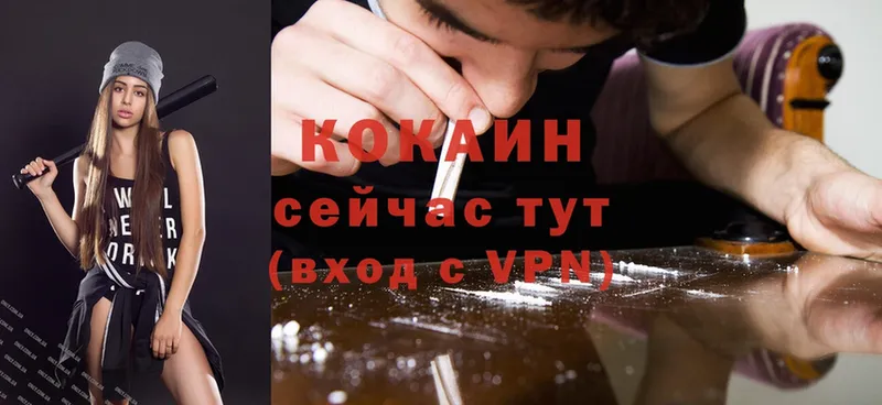 Cocaine Fish Scale  OMG вход  Выборг 