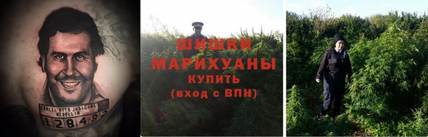 эйфоретик Новозыбков