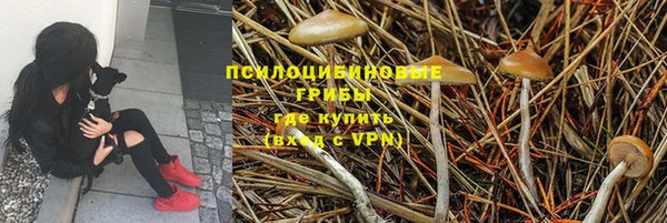 эйфоретик Новозыбков