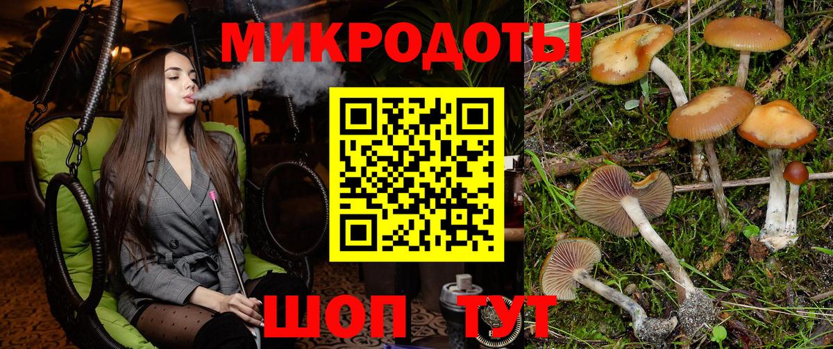 Выборг  Галлюциногенные грибы мицелий  Вход с VPN 