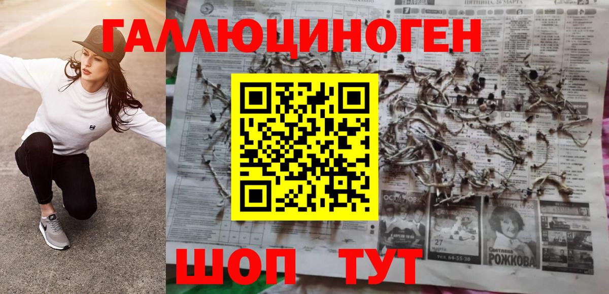 Галлюциногенные грибы GOLDEN TEACHER Выборг