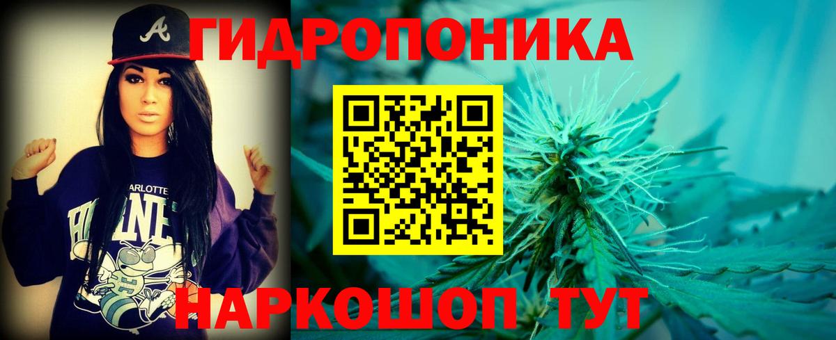 Марихуана Bruce Banner  Канабис Ganja  Выборг  Вход с VPN 
